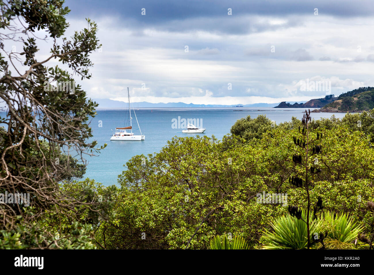 Malerischer Blick auf üppigen grünen Vegetation und Boote in Waiheke Island, Neuseeland Stockfoto