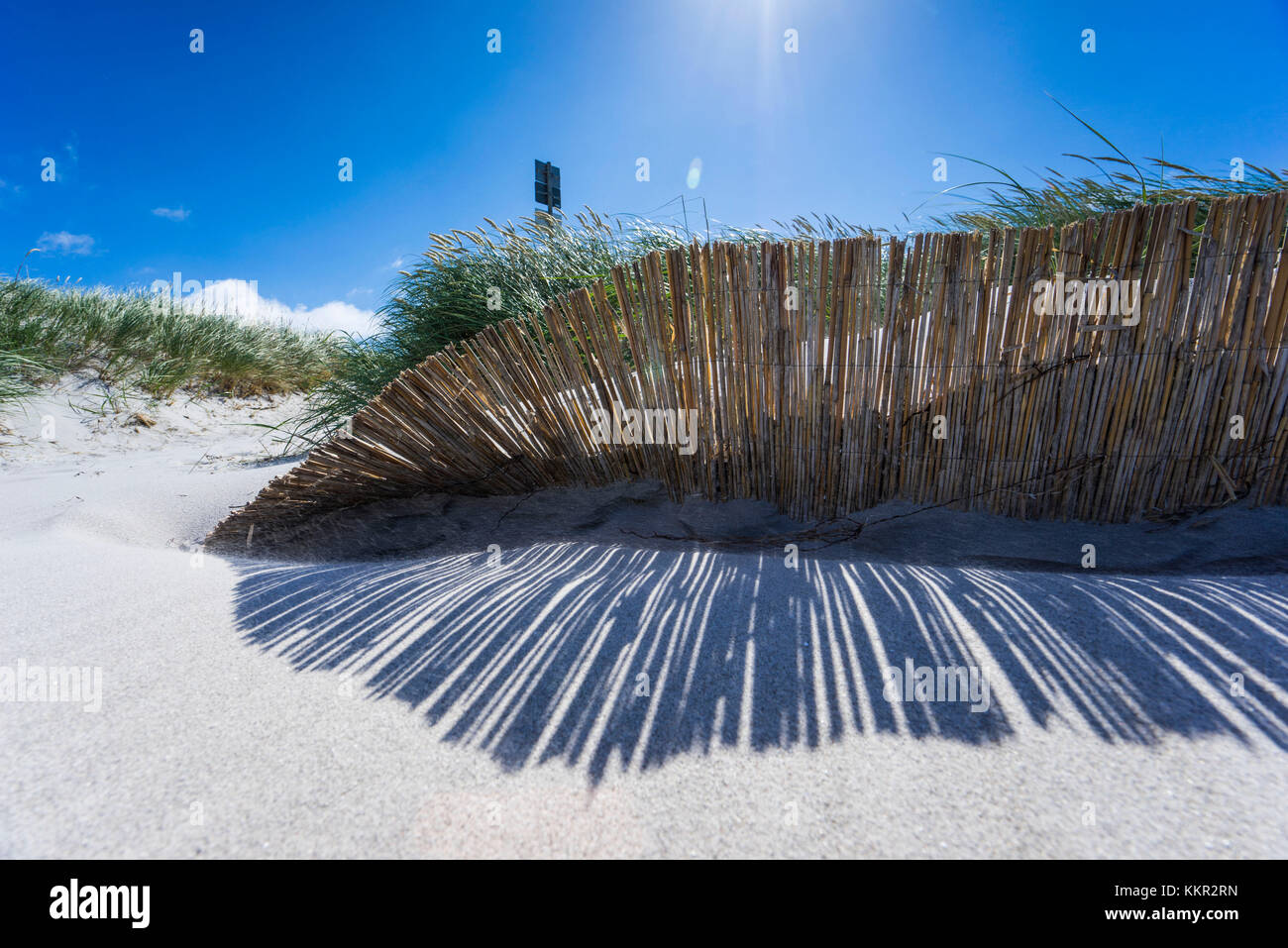 Baltic Beach mit marram Gras in der Sonne Stockfoto