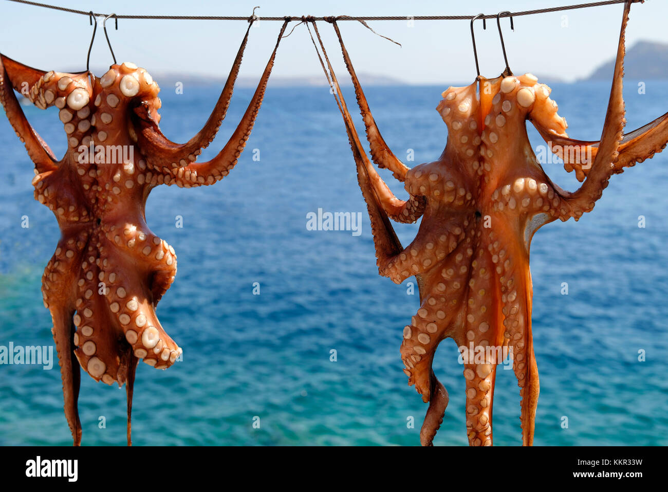 Calamari am Hafen von ammoudi, Insel Santorin, die Ägäis, die Kykladen, Ägäische Inseln, Griechenland Stockfoto