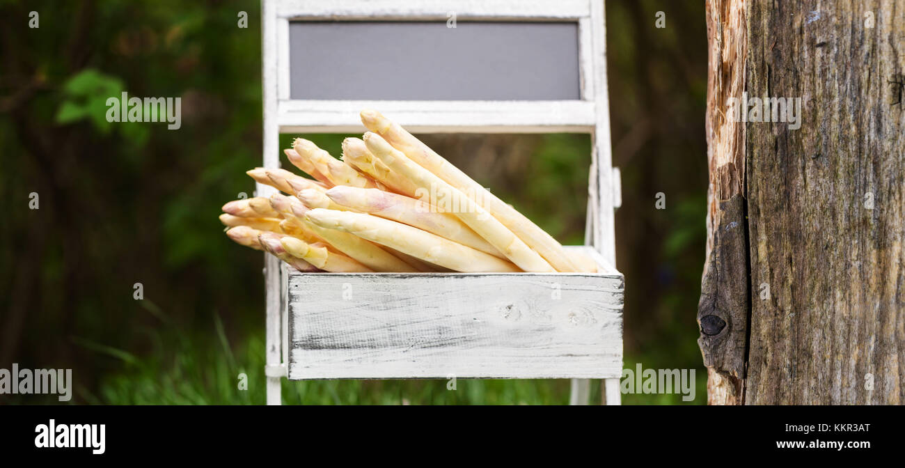 Spargel, Werbefläche Stockfoto