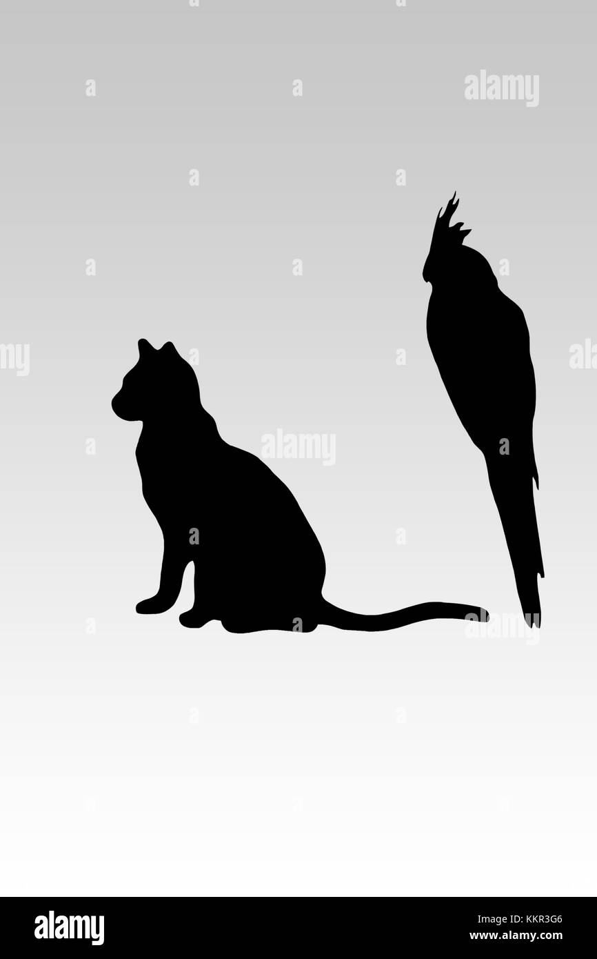 Die Umrisse einer Katze und eines Papagei vor einem weißen Hintergrund. Stockfoto