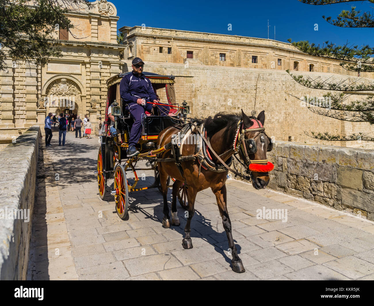 Pferdekutsche vor von Mdina, die alte Hauptstadt von Malta Stockfoto