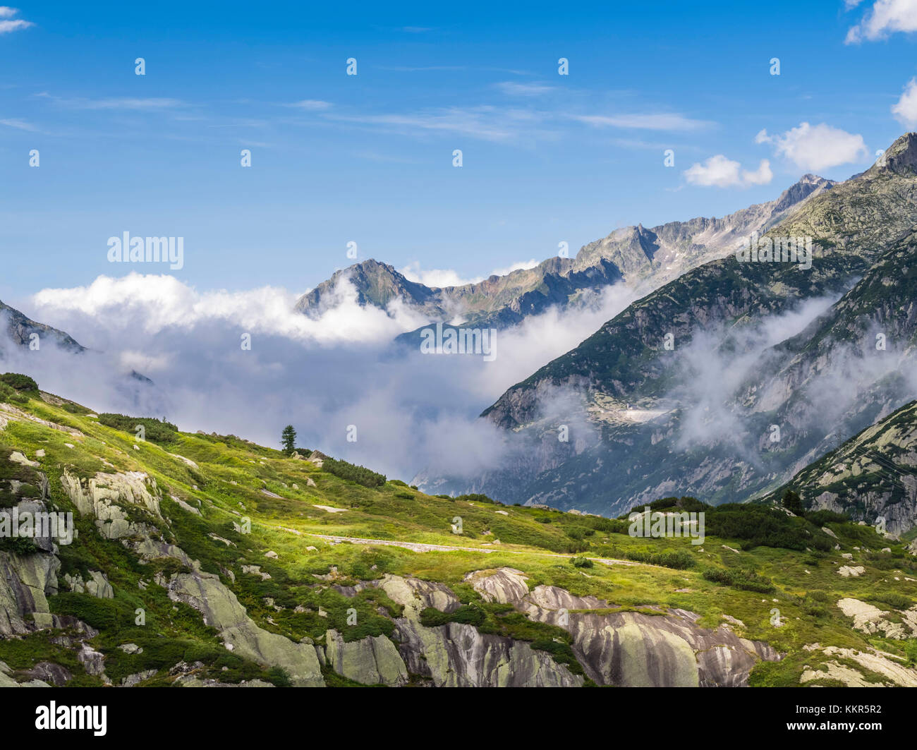 Alpine Landschaft im grimsel Stockfoto