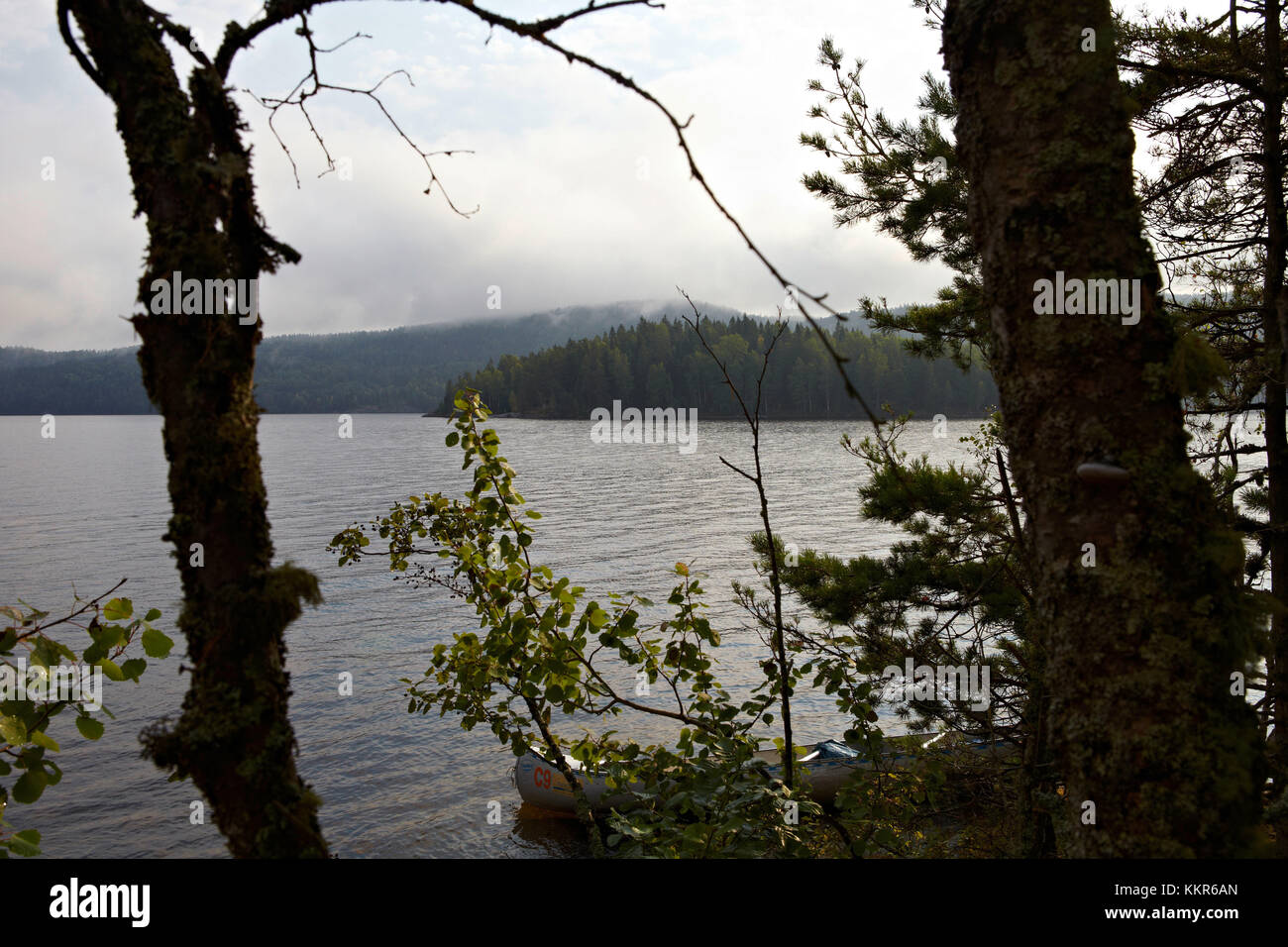 Wilde Landschaft, Lelång See, Dalsland, Götaland, Schweden Stockfoto