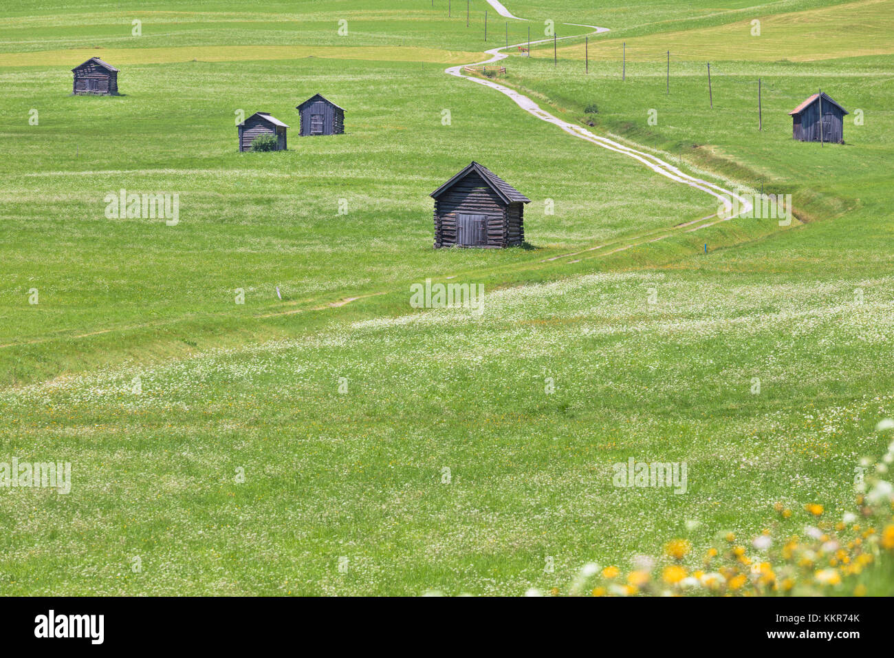 Charakteristische Scheunen in perfekt gepflegten Rasen, obertilliach, Tiroler Gailtal, Osttirol, Tirol, Österreich Stockfoto