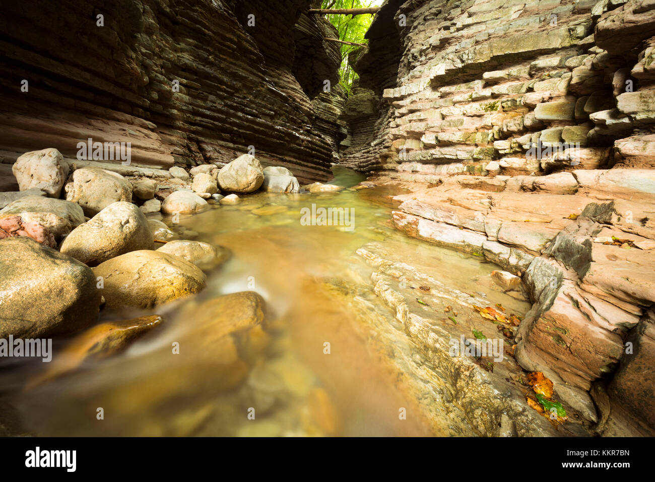 Brent de l Kunst, eine eindrucksvolle Schlucht durch die tausendjährige Kraft von Wasser erodiert, Provinz Belluno, Venetien, Italien Stockfoto