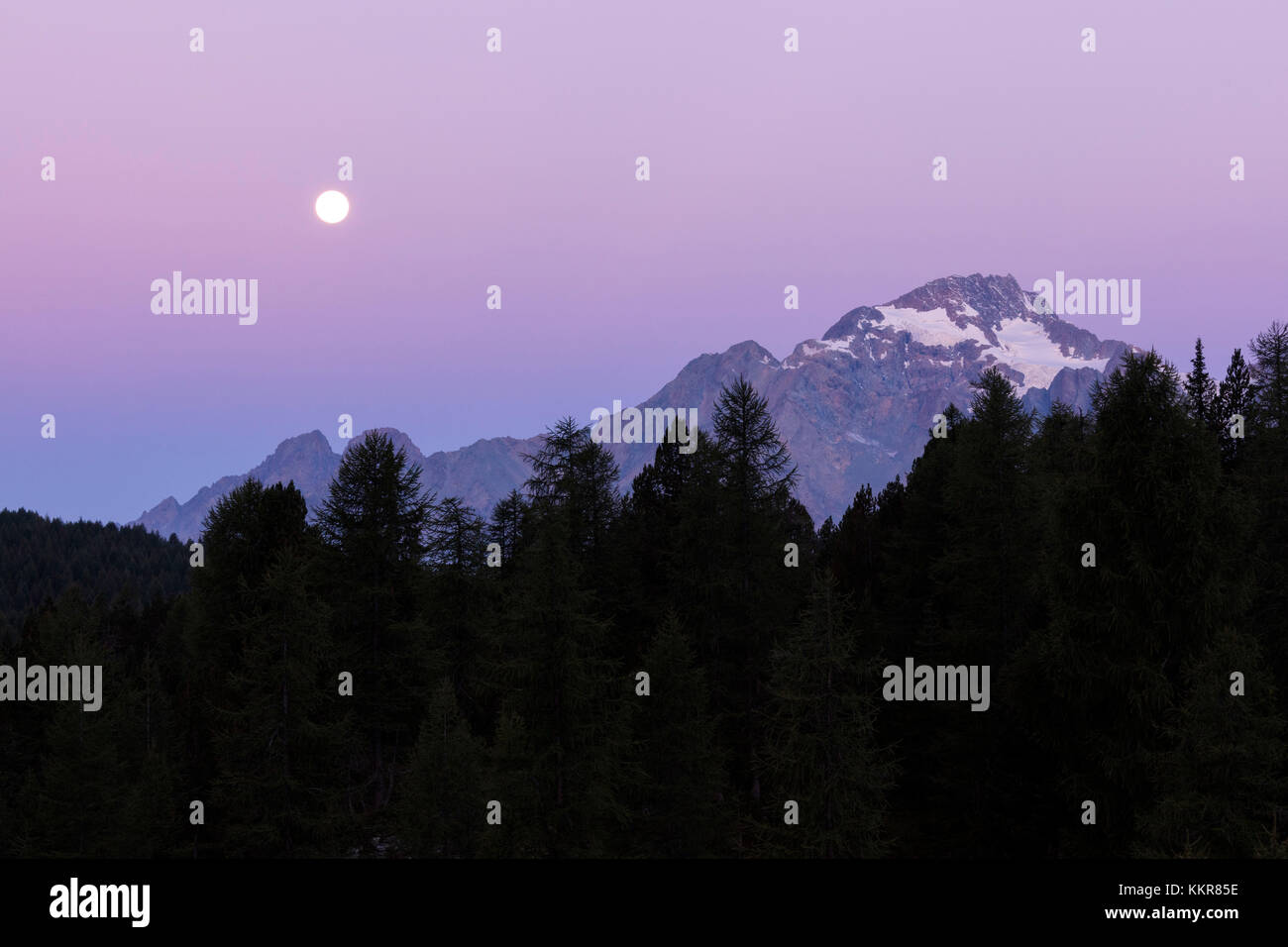 Rosa Himmel im Morgengrauen auf dem Monte Disgrazia vom See Mufulè Malenco Tal Lombardei Provinz Sondrio Veltlin Italien Europa gesehen Stockfoto