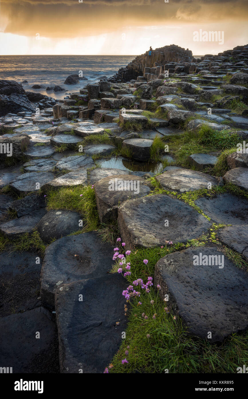 Giant es Causeway, Region Ulster County Antrim, Nordirland, Vereinigtes Königreich. Kultige Basaltsäulen. Stockfoto