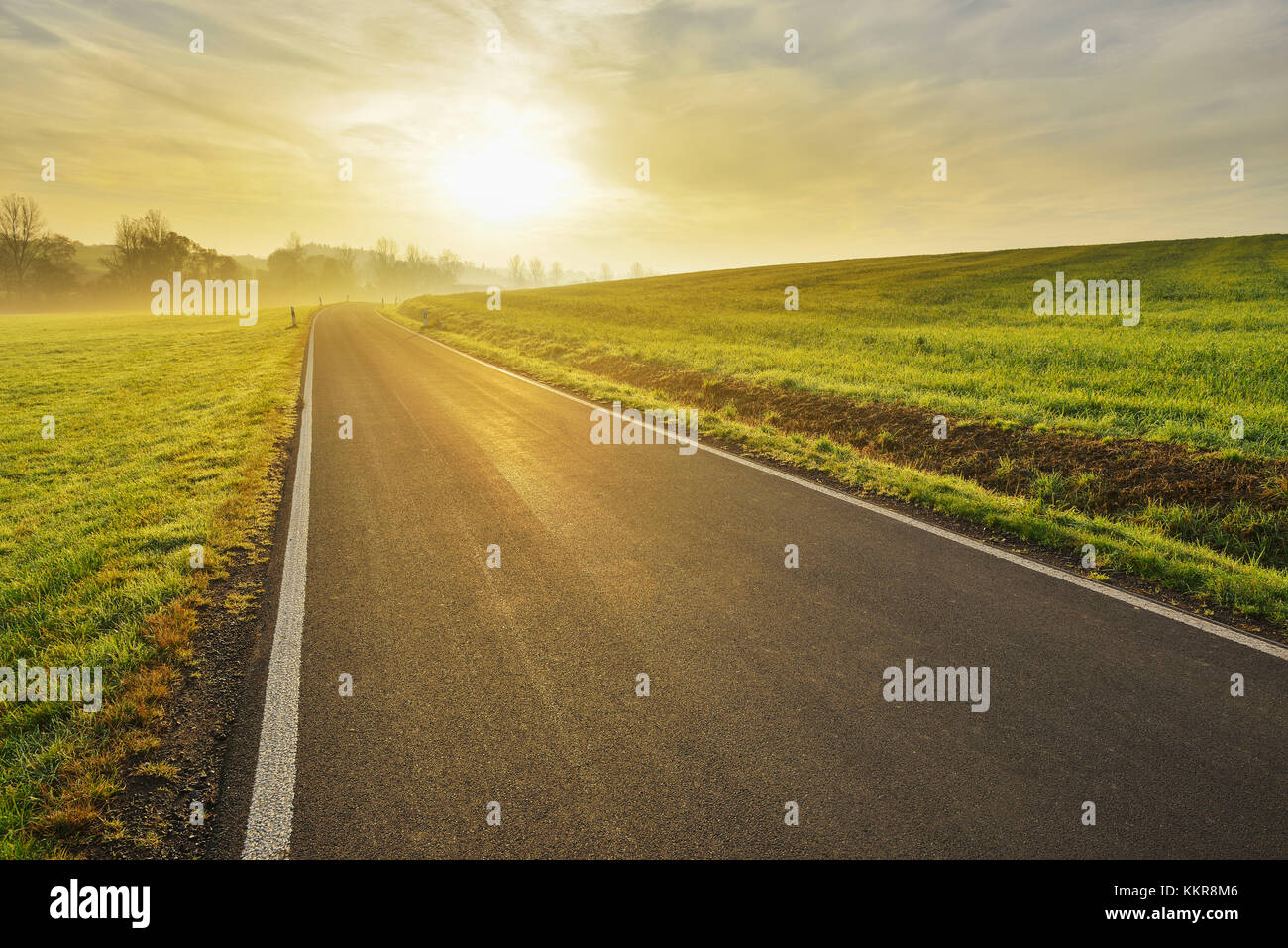 Landstraße am Morgen mit Sonne, freiensteinau, Vogelsberg, Hessen, Deutschland Stockfoto