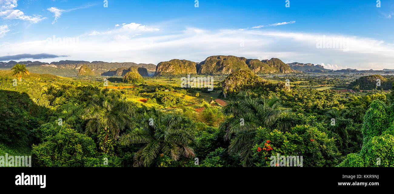 Landschaft im Valle de Vinales Stockfoto