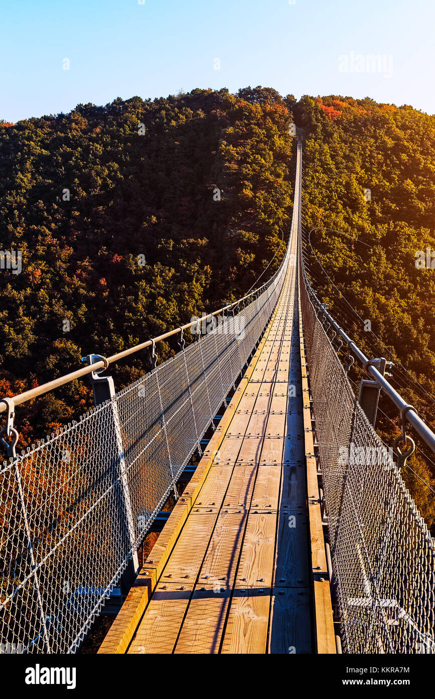 Hangeseilbrucke geierlay -Fotos und -Bildmaterial in hoher Auflösung ...