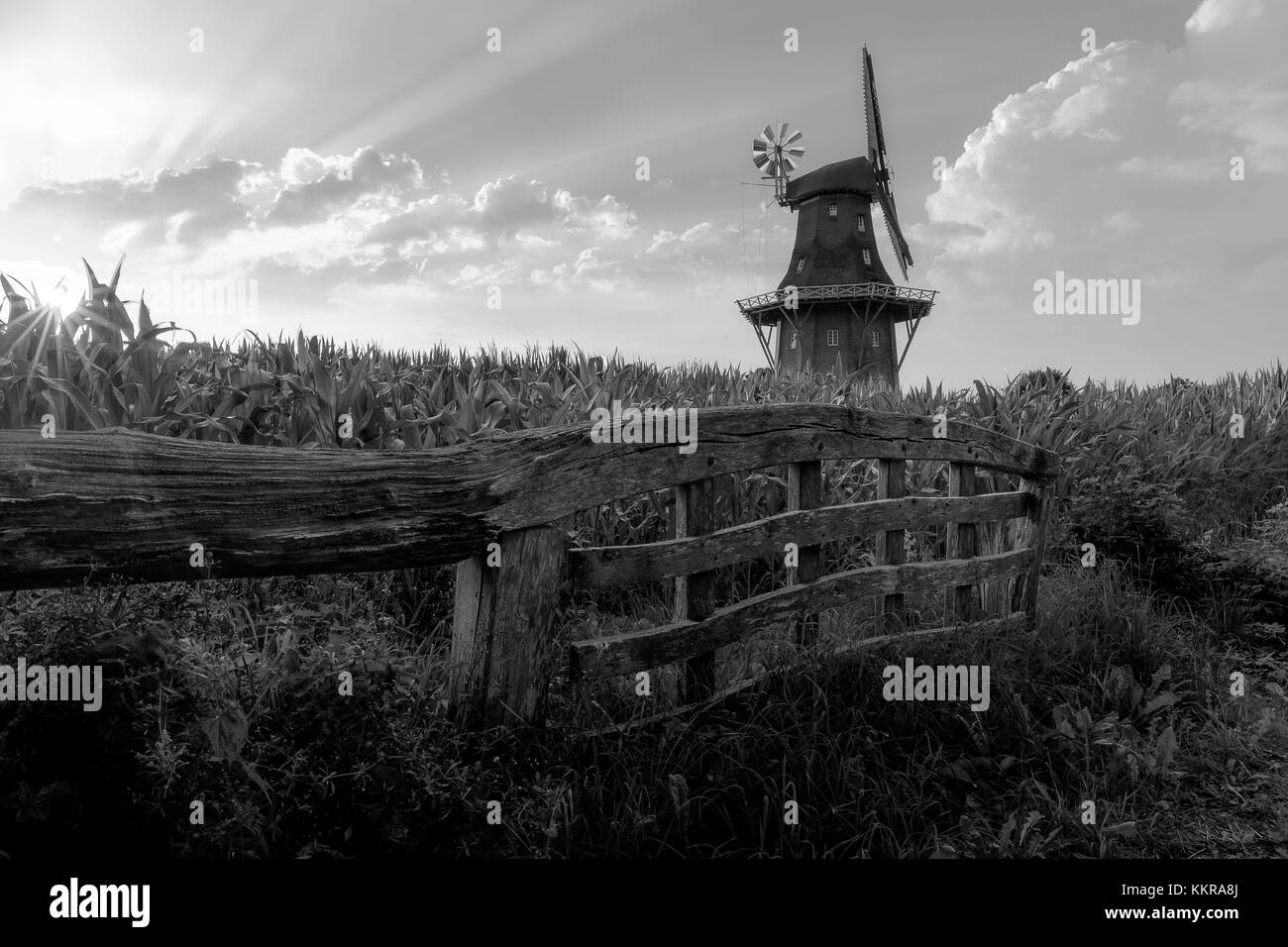 Die Holtlander Mühle in Holtland in der Nähe von Hesel, Ostfriesland Stockfoto