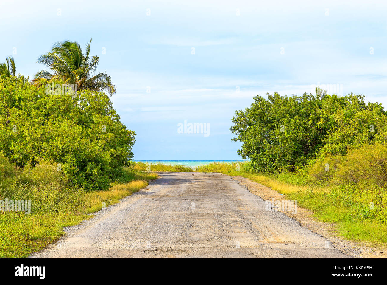 Der Strand von Cayo jutias im Norden von Kuba Stockfoto