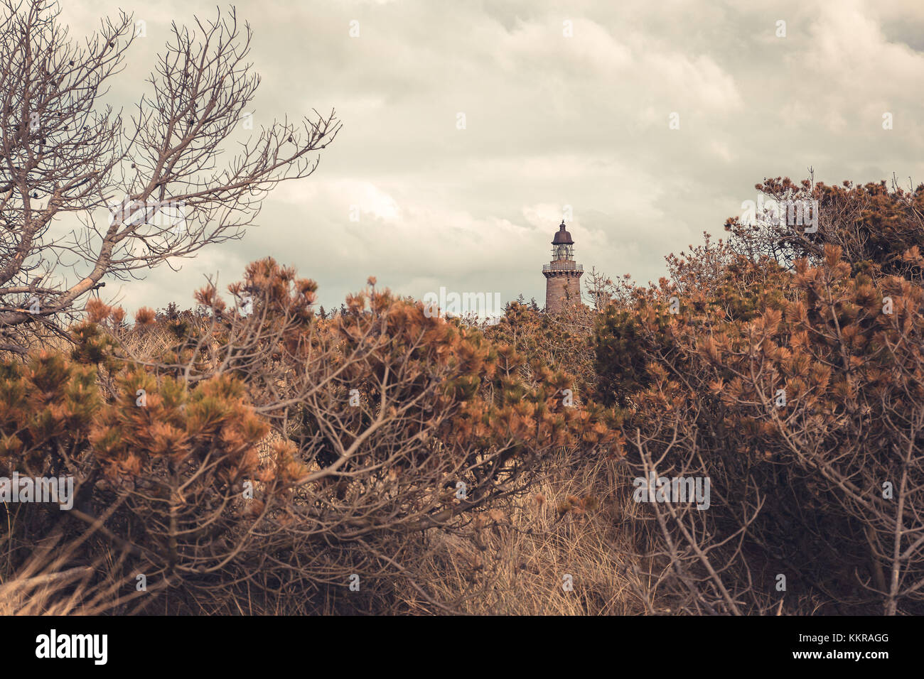 Der Leuchtturm lodberg Fyr in der Nähe der agger Dänemark wurde in einem Wald in der Nähe der Küste gebaut Stockfoto