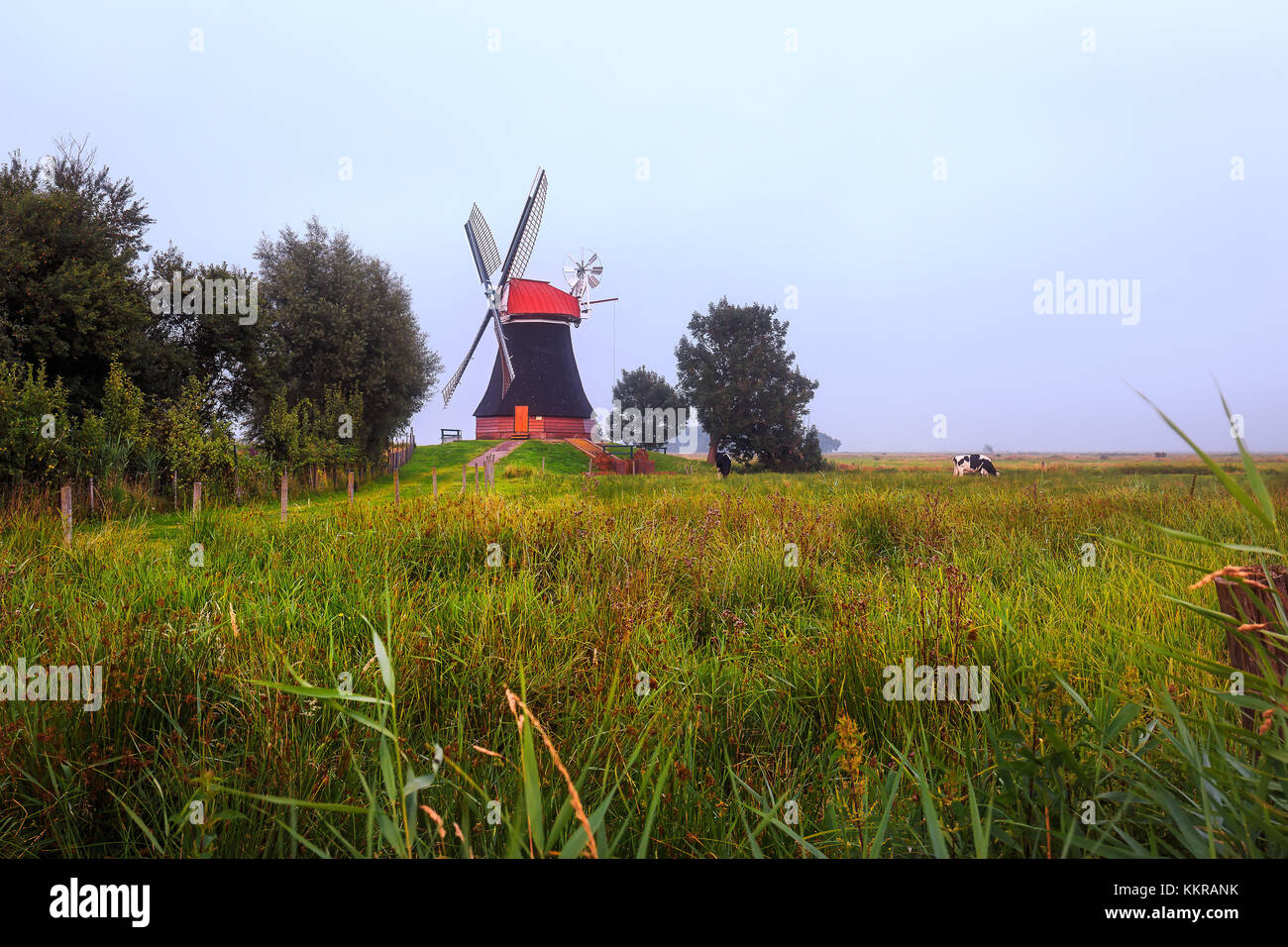 Die Mühle wynhamster Kolk an einem nebligen Tag Stockfoto