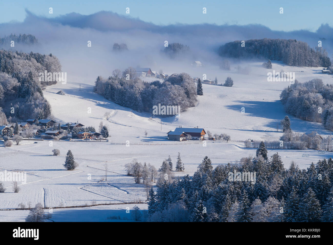 Österreich, Salzburger Land, Hof bei Salzburg, Winterlandschaft Stockfoto