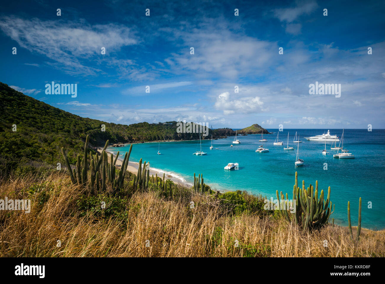 Französische Antillen, St Barthelemy, Colombier, Anse de Colombier Bucht und Strand Stockfoto