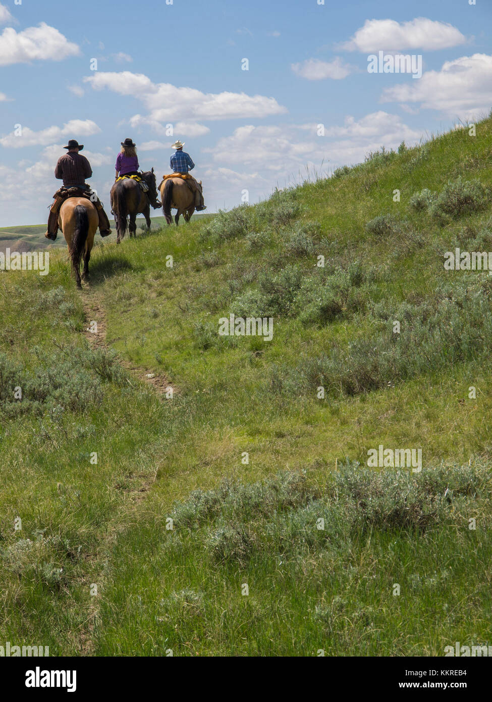 2 Männer, eine Frau reiten pferde Stockfoto