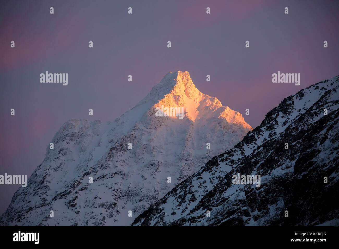 Die rosa Licht des Sonnenaufgangs leuchtet die schneebedeckten Gipfel der Rocky Mountains Svensby Lyngen Alpen Tromsø Norwegen Europa Stockfoto