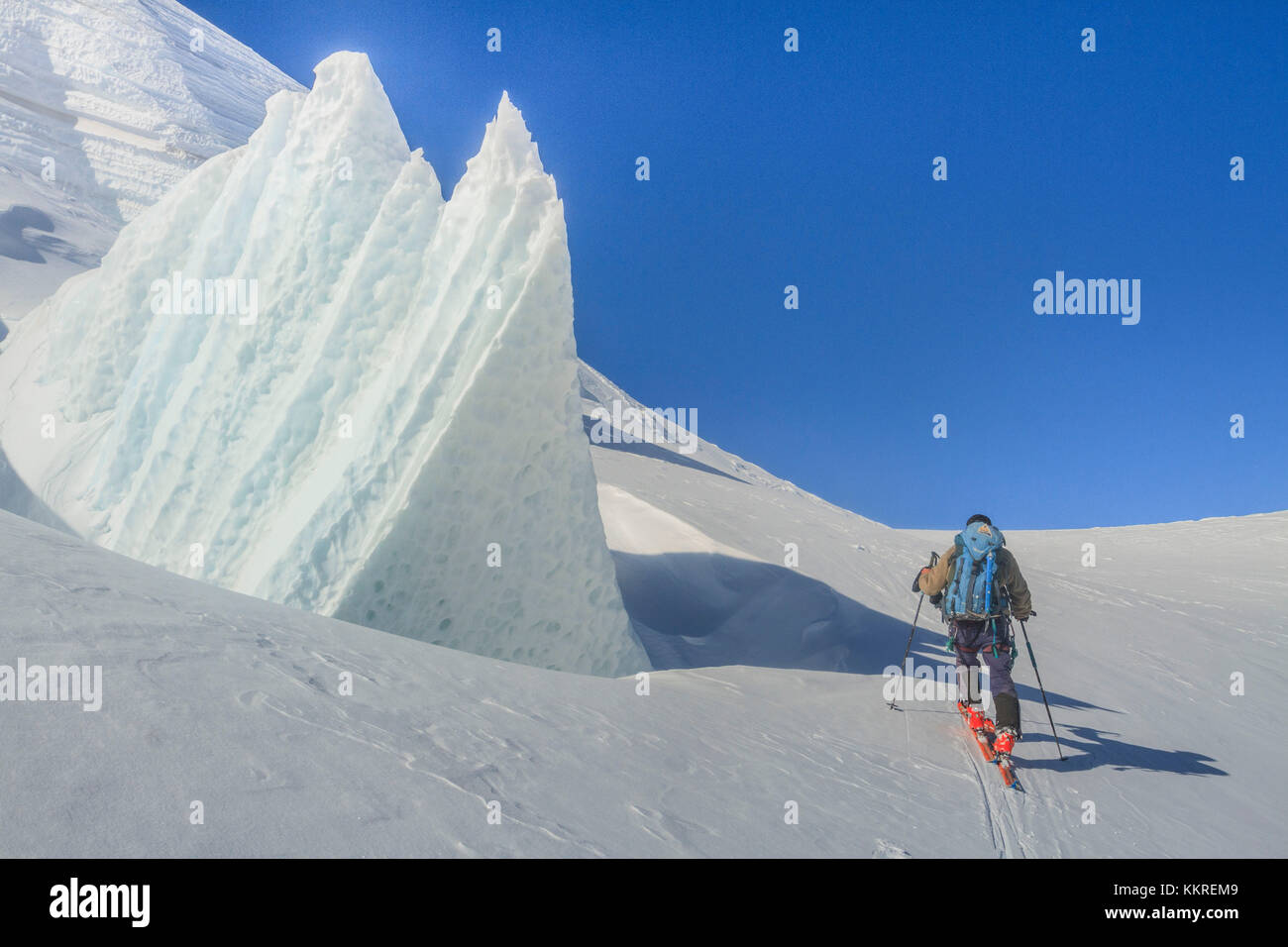 Skitouren in der Gletscher des Monte Rosa. Rosa Gruppe, Aostatal, Italien Stockfoto