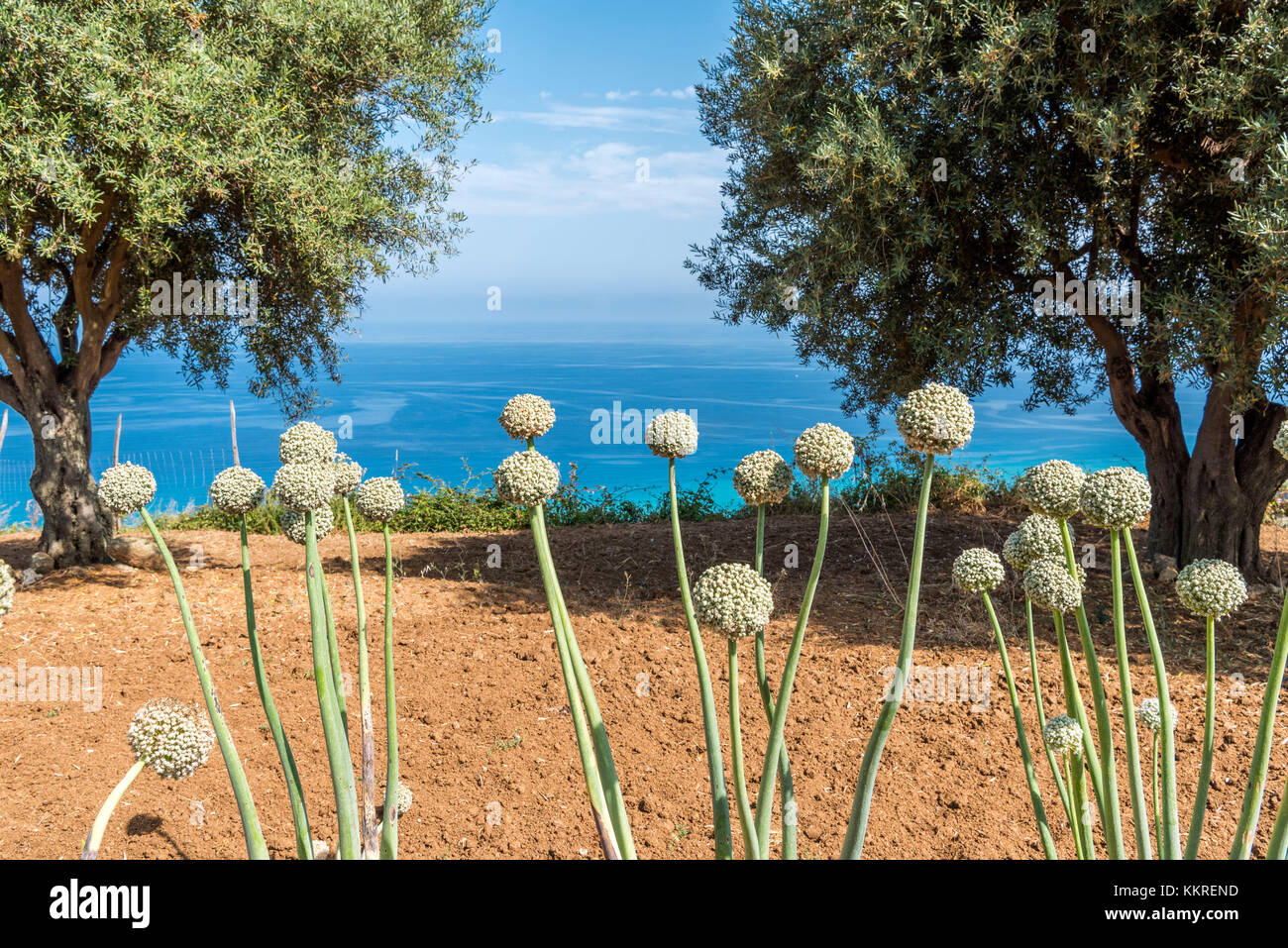 Zambrone, Tropea, Provinz Vibo Valentia, Kalabrien, Italien, Europa