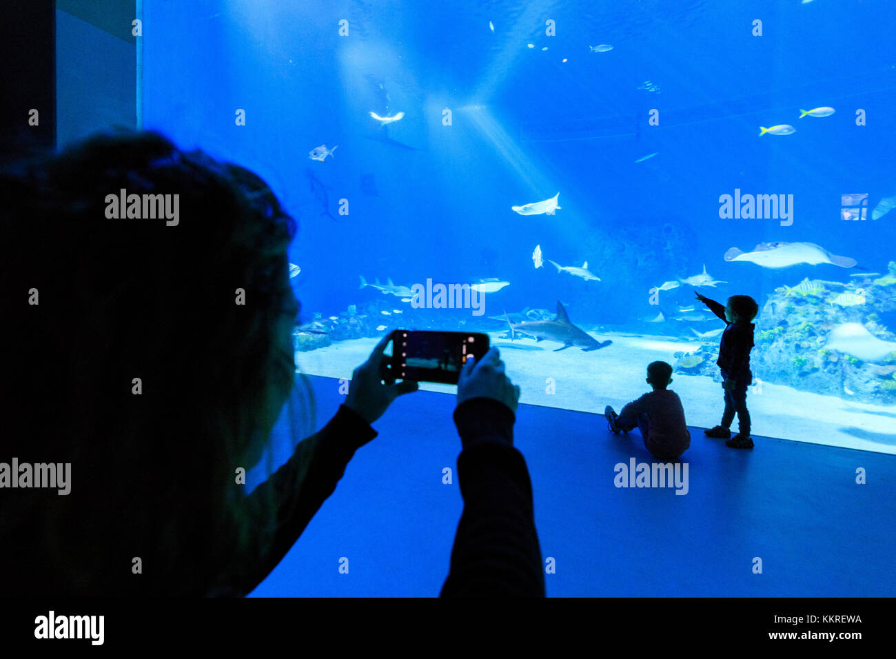 Mutter snap Bilder an die Söhne an Fische suchen, Aquarium von den bla Planet, Kastrup, Kopenhagen, Dänemark Stockfoto