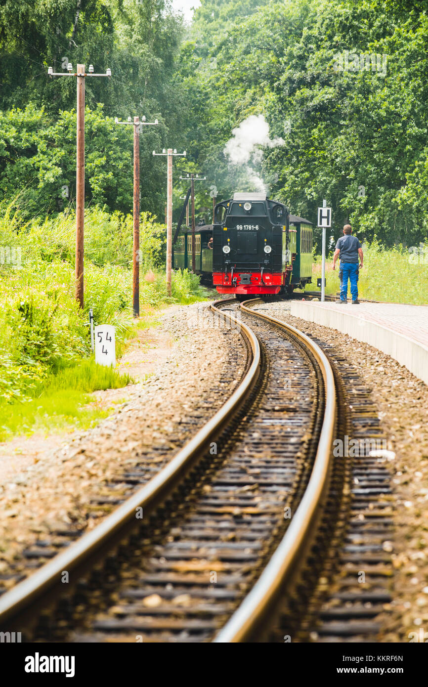 Rügen, Ostseeküste, Mecklenburg-Vorpommern, Deutschland. Die historische Rugensche Baderbahn heißt 'rasender Roland'. Stockfoto