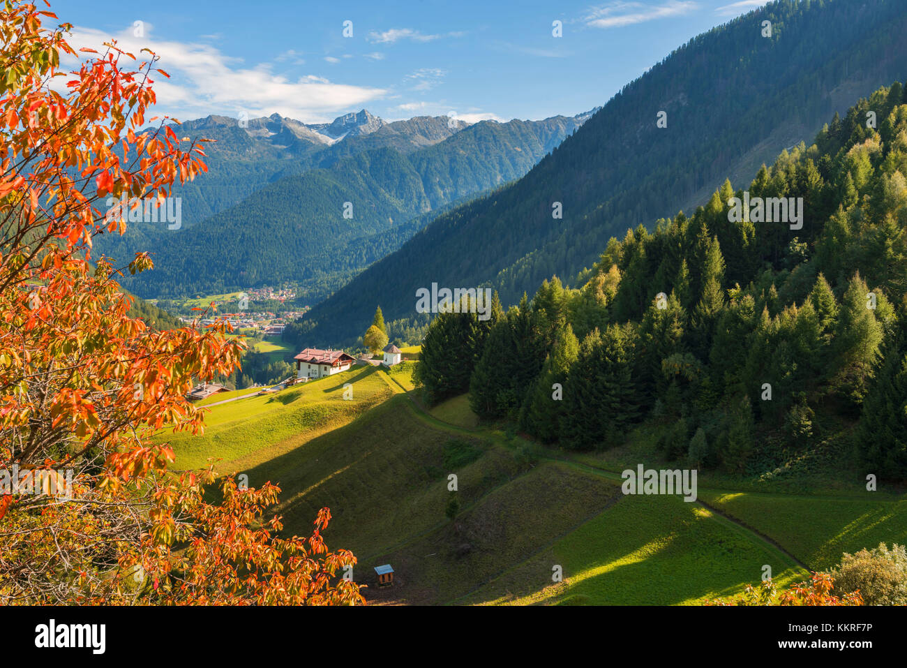 Herbst in Pejo Tal Europa, Italien, Trentino, Trient, Pejo Tal, Sun Valley, comasine Stadt Stockfoto