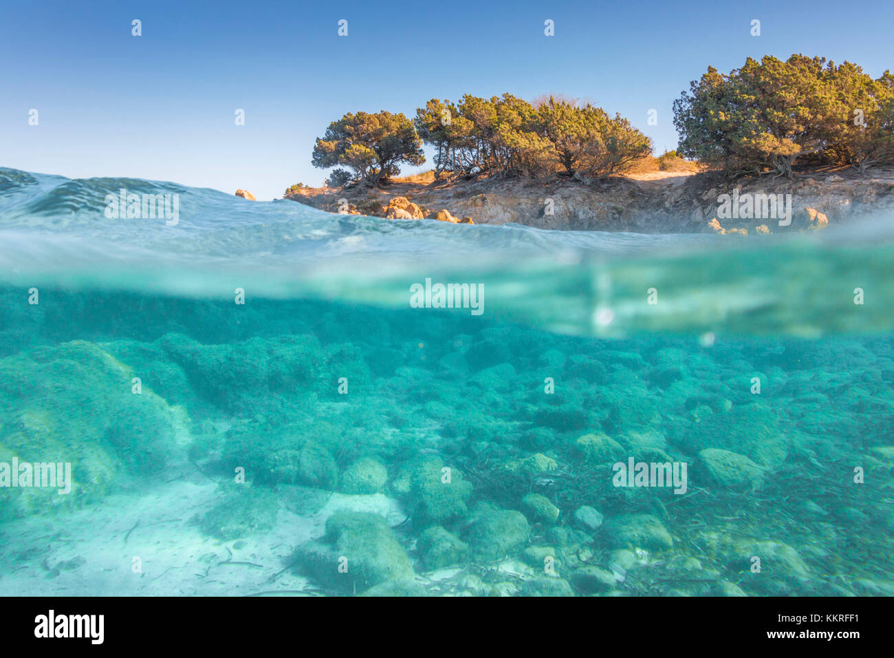 Die Hälfte Unterwasser Foto mit dem Meeresboden und Bäume im Strand Rena Bianca in Portisco (Olbia) Costa Smeralda, Provinz Olbia-Tempio, Sardinien, Italien Stockfoto