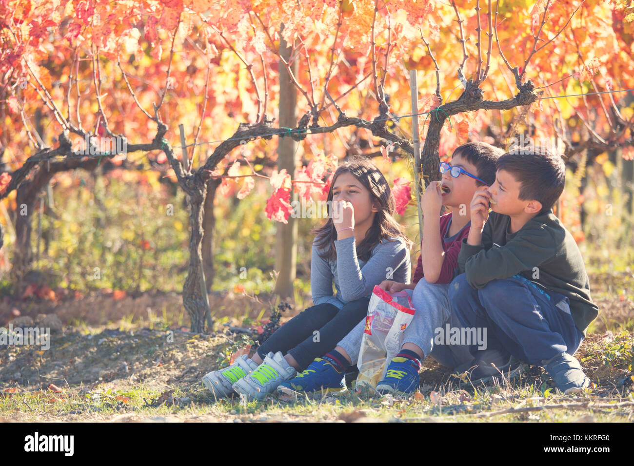 Europa, Italien, Umbrien, Perugia, Montefalco. Kinder spielen in einem Weinberg. Stockfoto