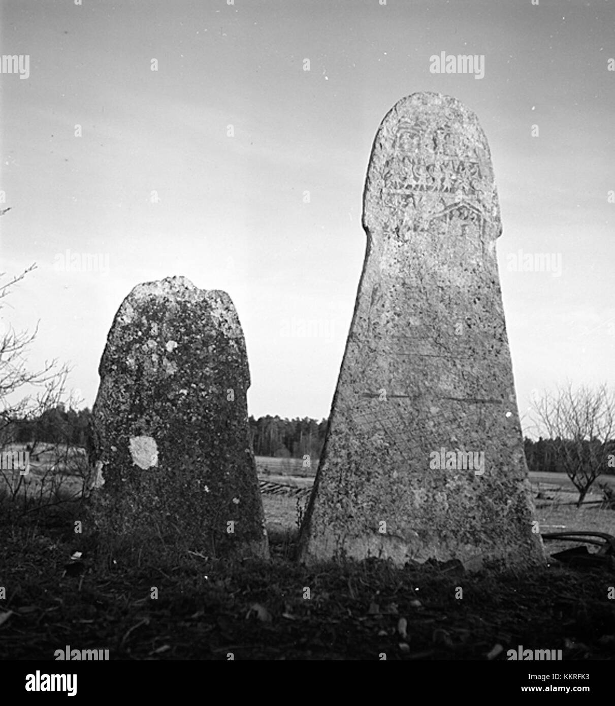 Bildstenarna Buttle 42 1 2 ist eine archäologische Stätte in Schweden, die für ihre antiken Steindenkmäler bekannt ist. Diese Artefakte sind wichtig für das Verständnis der frühen Geschichte und prähistorischen Kultur der regionâ. Stockfoto