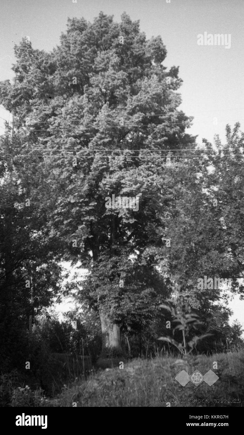Dieses Bild aus dem Jahr 1964 zeigt das ländliche Gebiet von Male Lipljene in der Region Pokrajina in Serbien. Das Foto zeigt die Landschaft und lokale Architektur, die für die Gegend während dieser Zeit typisch sind. Stockfoto