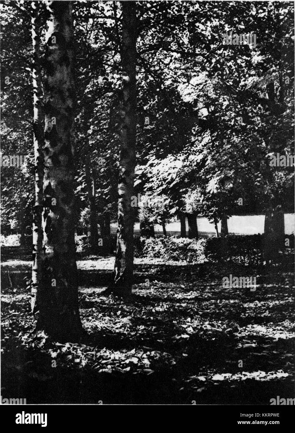 „An Alley im Tivoli Park“ (ca. 1925) des slowenischen Künstlers Ivan VavpotiÄ zeigt einen von Bäumen gesäumten Weg im Tivoli Park in Ljubljana und zeigt die Meisterschaft des Künstlers in der Darstellung von saisonalen Veränderungen und urbanen Landschaften. Stockfoto