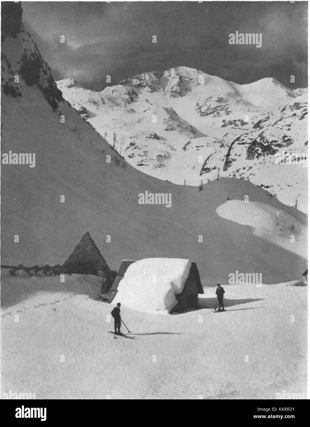 Ein Bild aus dem Jahr 1933 mit dem Titel „Vogel“, das wahrscheinlich auf ein historisches Ereignis, einen Ort oder eine Person verweist, die in diesem Jahr aufgenommen wurden, und eine visuelle Momentaufnahme aus dieser Zeit bietet. Stockfoto