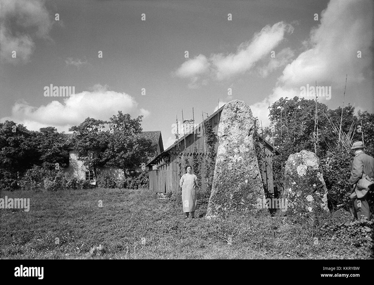 Bildstenarna Buttle 42 1 2 in Schweden bezieht sich auf eine historische Stätte, die für ihre antiken Steindenkmäler bekannt ist. Diese megalithischen Strukturen haben kulturelle Bedeutung und sind Teil des prähistorischen Erbes Schwedens. Stockfoto