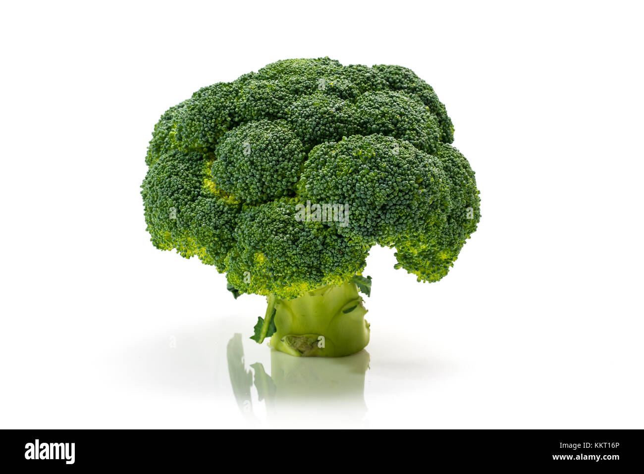 Frischen Brokkoli, Baum, Studio Shot auf weißem Hintergrund Stockfoto