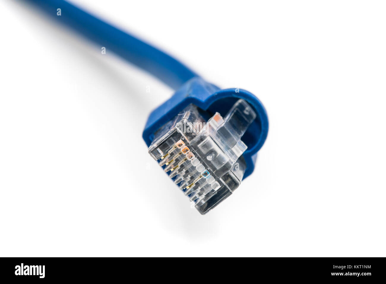 Blaues Netzwerkkabel UTP Camble, in der Nähe von Studio shot, auf weißem Hintergrund Stockfoto