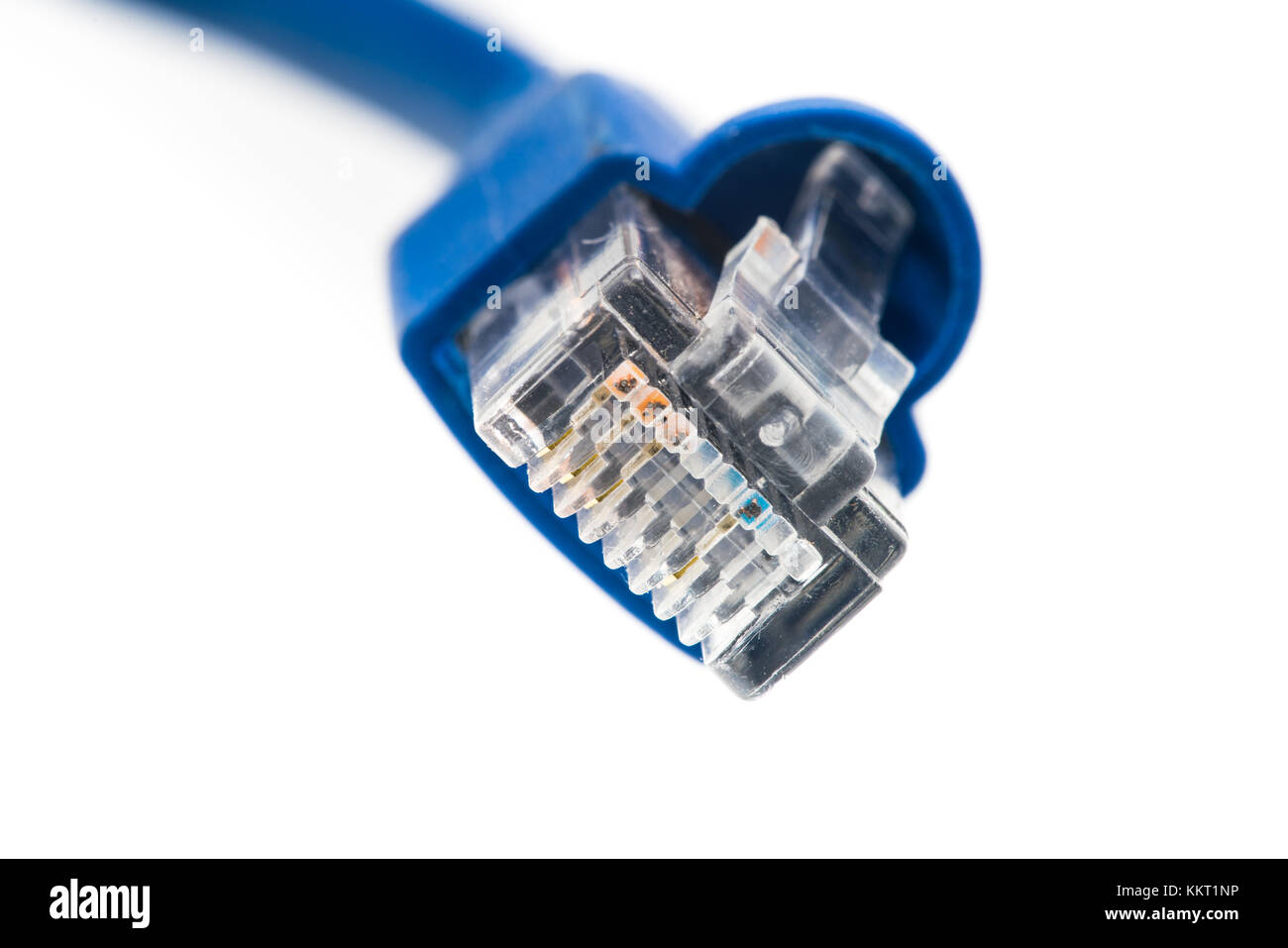 Blaues Netzwerkkabel UTP Camble, in der Nähe von Studio shot, auf weißem Hintergrund Stockfoto