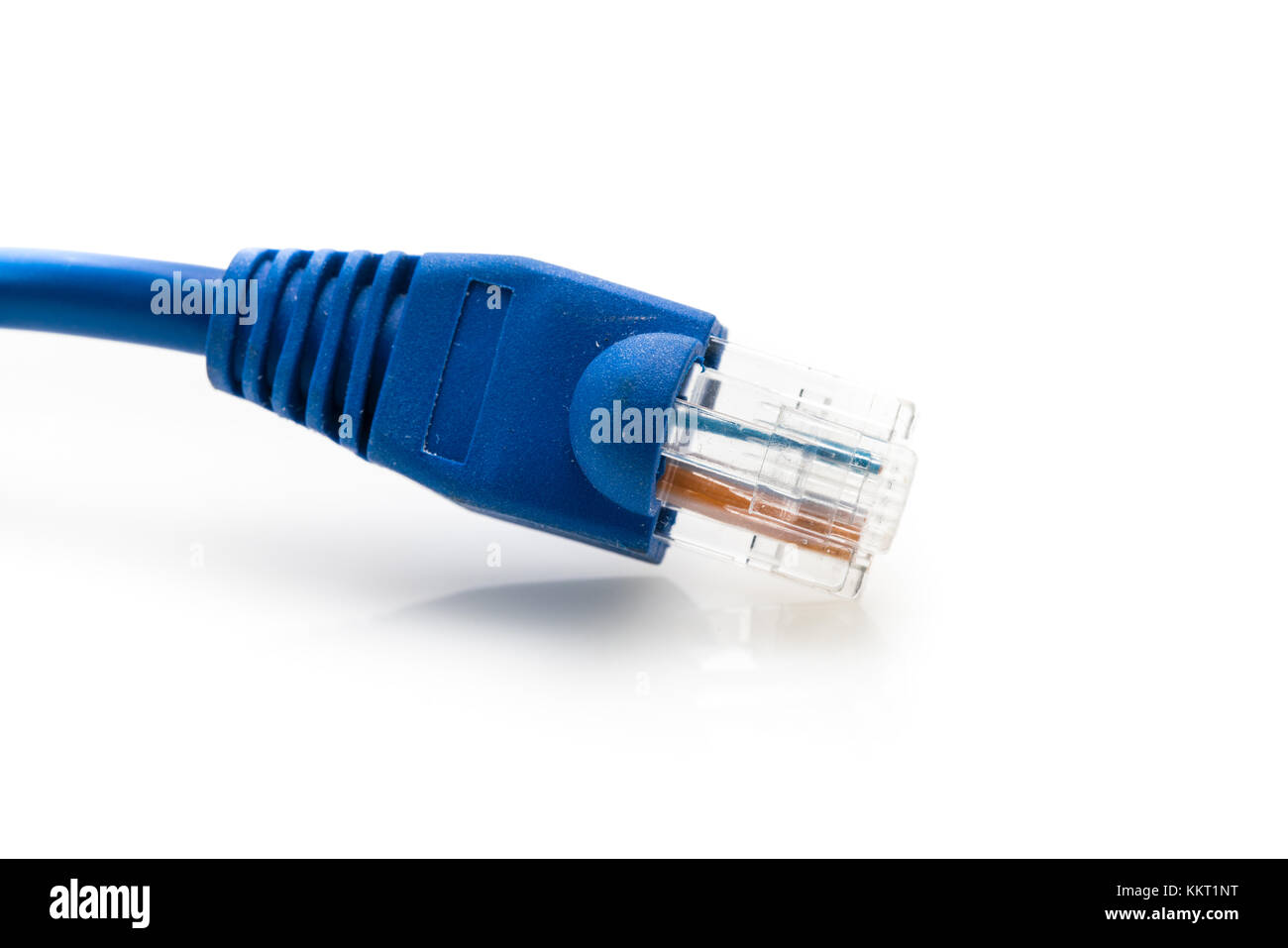 Blaues Netzwerkkabel UTP Camble, in der Nähe von Studio shot, auf weißem Hintergrund Stockfoto