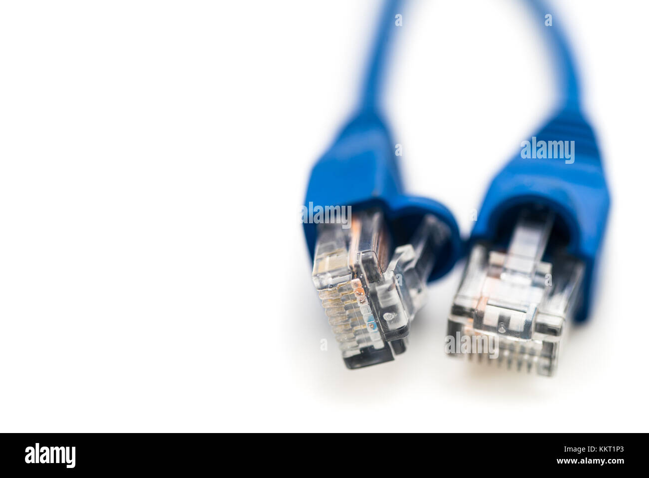 Zwei blaues Netzwerkkabel UTP Camble, in der Nähe von Studio shot, auf weißem Hintergrund mit Platz für Text Stockfoto