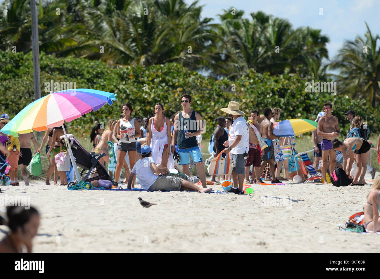 MIAMI BEACH, FL - 08. MAI: Miami Set of Arms and Dudes am 8. Mai 2015 in Miami Beach, Florida. Leute: ANA de Armas, Miles Teller, Todd Phillips Stockfoto