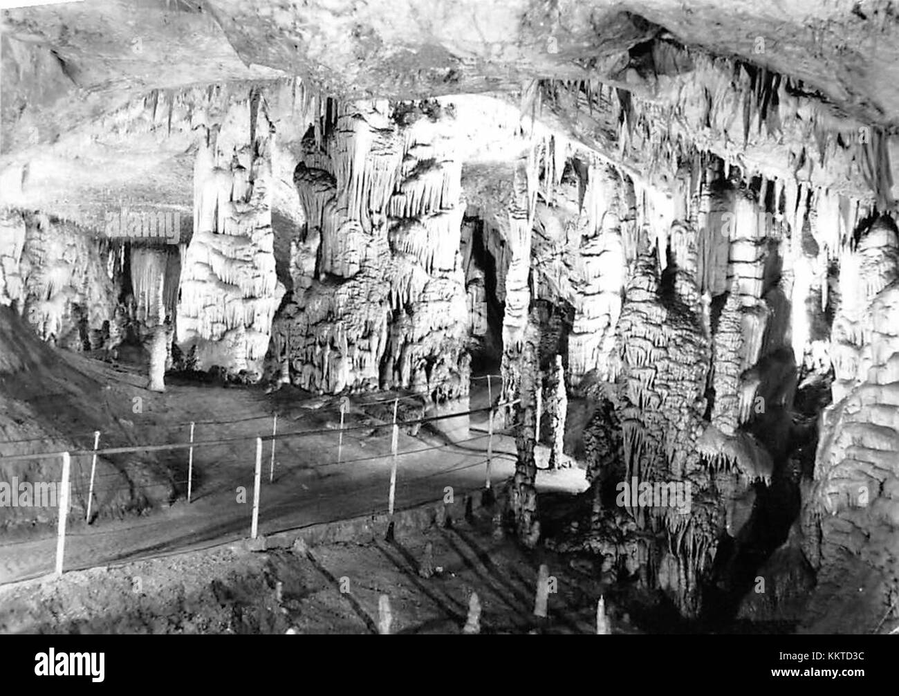 Diese Postkarte zeigt die Postojna-Höhle, ein beliebtes Touristenziel in Slowenien. Die Höhle ist bekannt für ihre atemberaubenden Kalksteinformationen und ausgedehnten unterirdischen Gänge und ist ein Naturwunder. Es zieht Besucher aus der ganzen Welt an, die die einzigartige Geologie und Schönheit sowie die reiche Geschichte wissenschaftlicher Entdeckungen erkunden möchten. Stockfoto