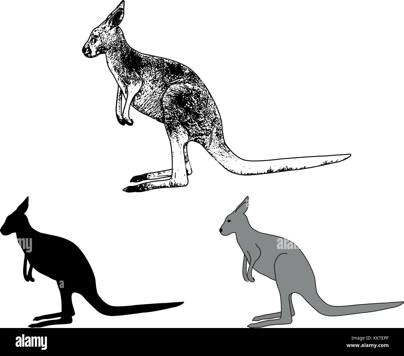 Kangaroo Skizze und Silhouette-Vektor Stock Vektor