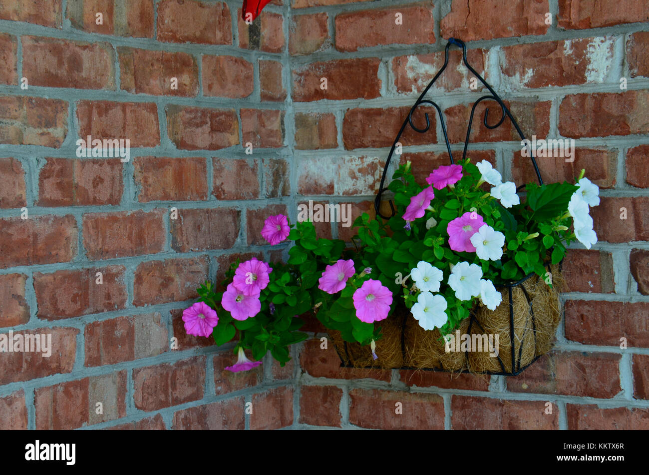 Einrichtung eines Einkaufszentrums im Osten der Vereinigten Staaten Stockfoto