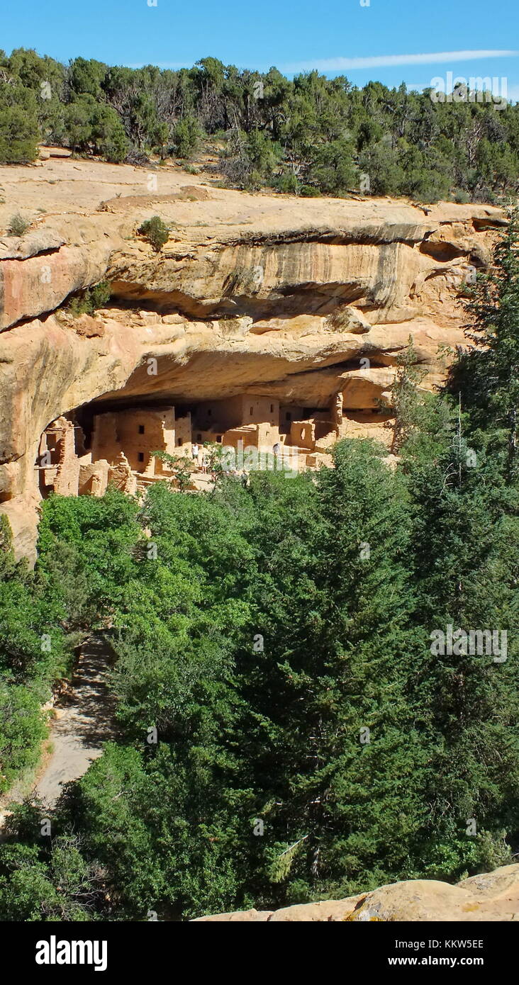 Colorado, USA, 25. Juni 2013: Der Cliff Palace, Mesa Verde in Colorado. Stockfoto
