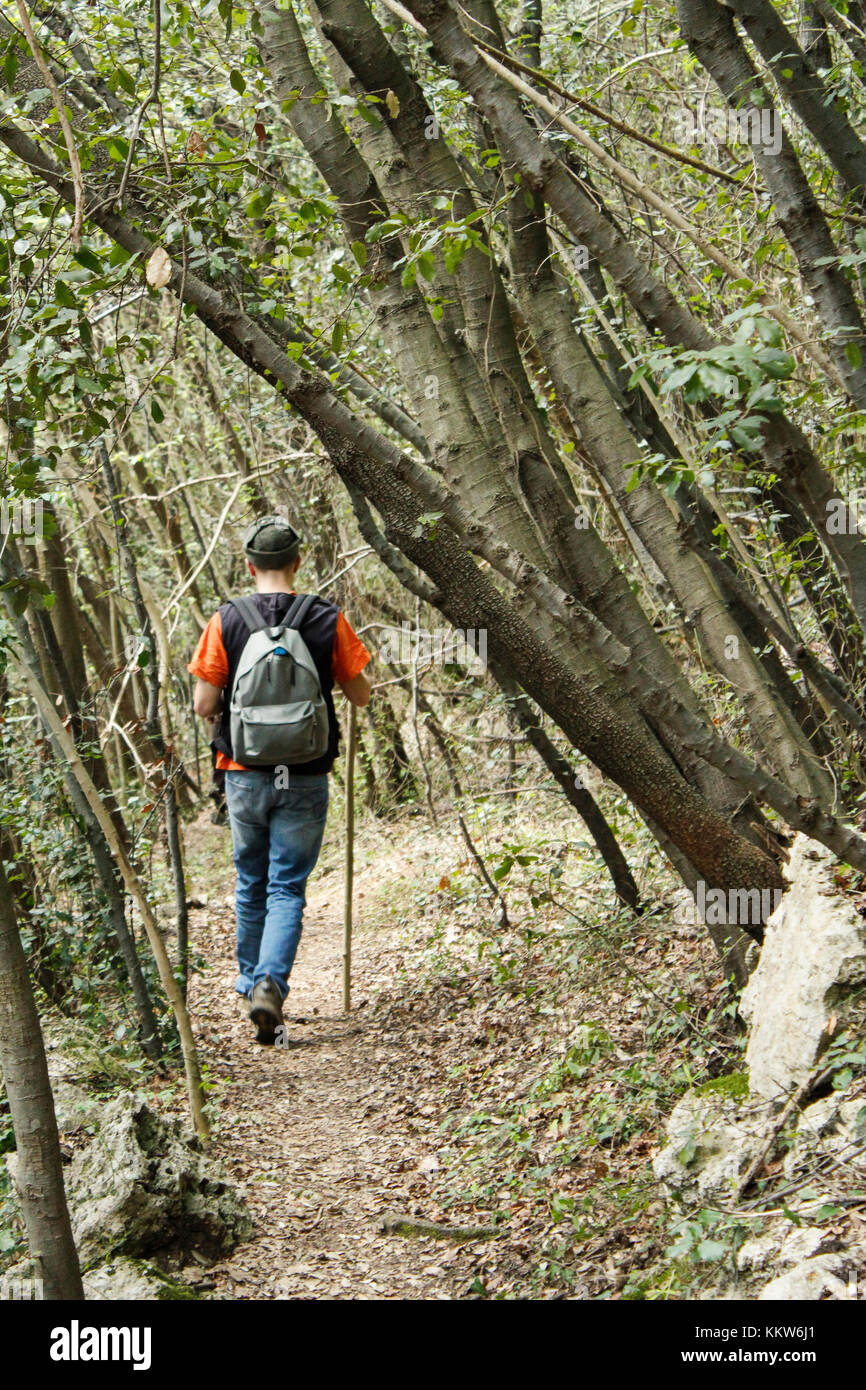 Ein Mann auf einem Trail durch den Wald grün. Stockfoto