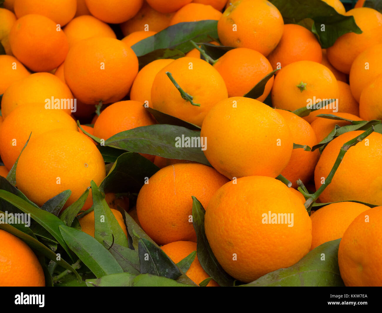 Clementinen auf einem Markt Stockfoto