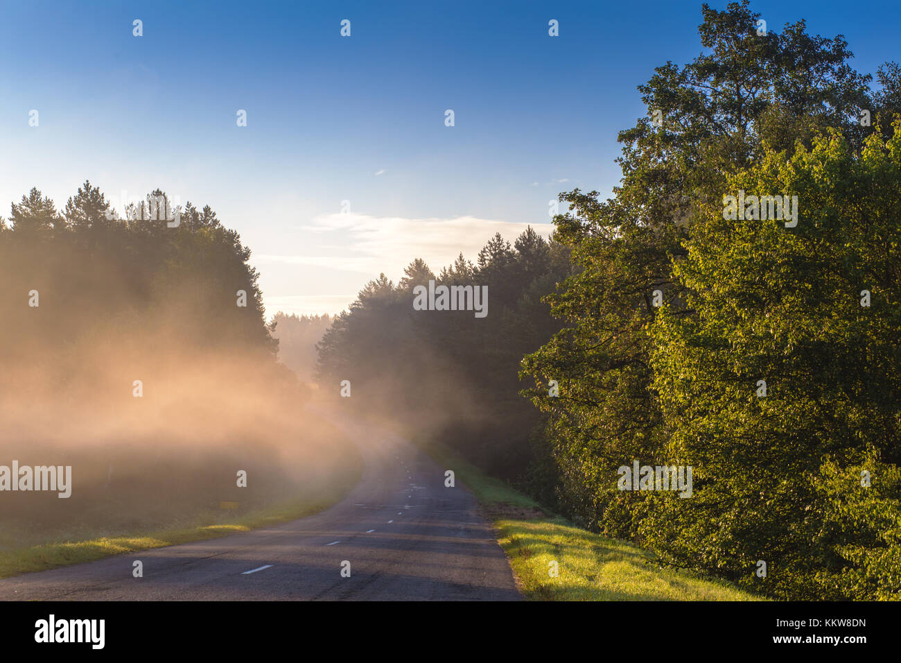 Straße durch Nebel am Morgen. Sommer morgen Landschaft mit leere Straße. Stockfoto