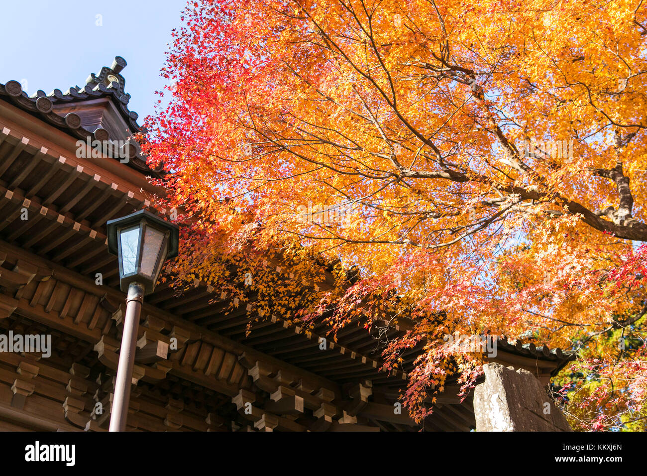 Mount Takao, Japan. Dezember 2017. Herbstlaub kann noch im Dezember auf dem Mount Takao in Japan gesehen werden. Kredit: Yuichiro Tashiro Kredit: y.Location/Alamy Live News Stockfoto