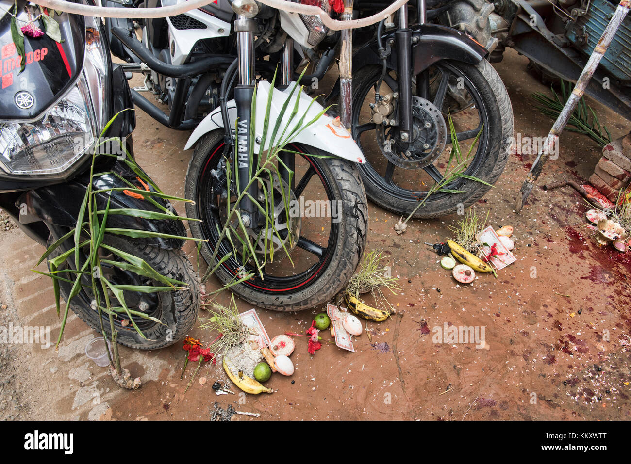 Motorräder mit dasain Angebote während der Ferien, in denen Tausende Tiere geschlachtet werden, Kathmandu, Nepal Stockfoto